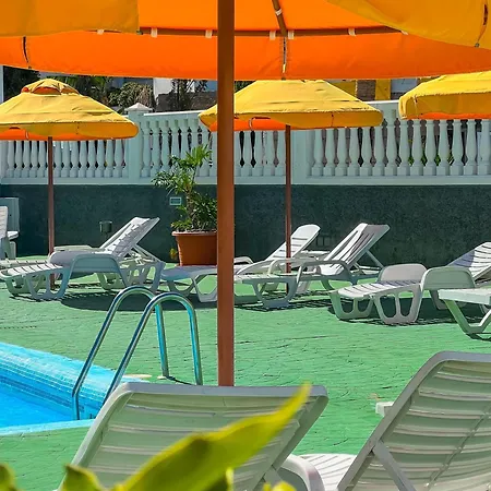 Olympia Palmalicious *