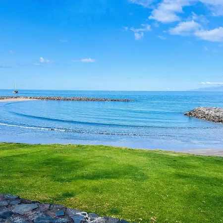 Olympia Palmalicious