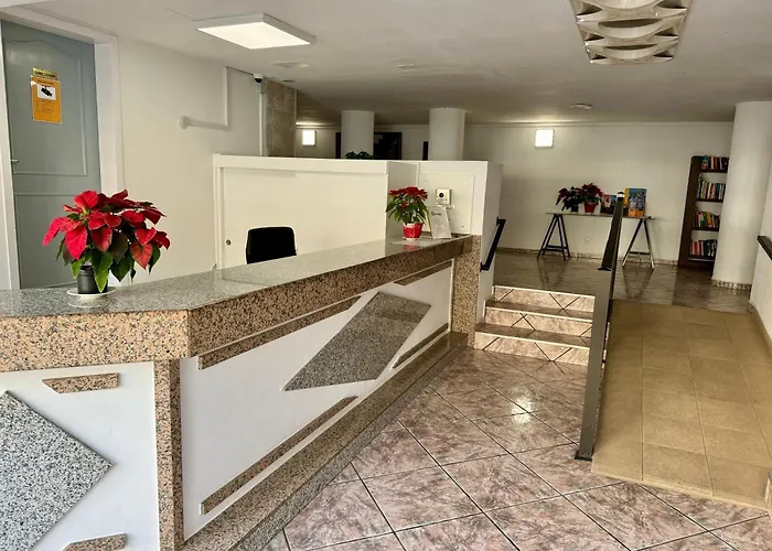 Olympia Palmalicious 플라야데라스아메리카스