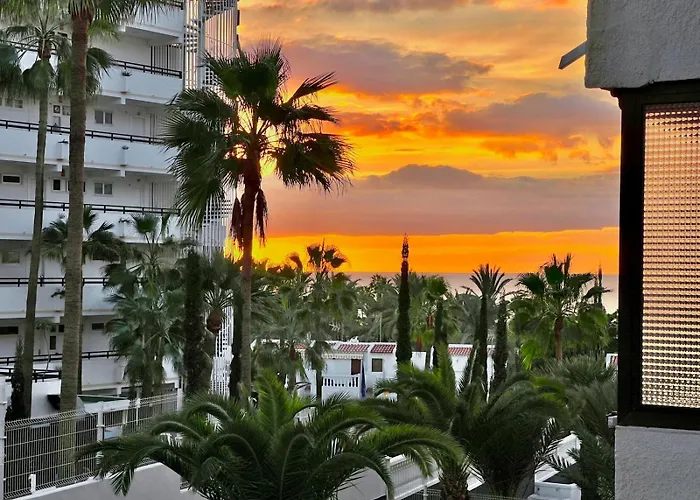 Olympia Palmalicious