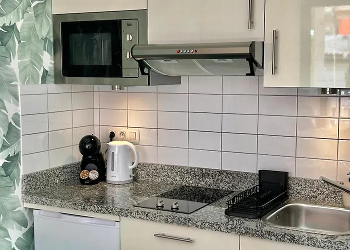 Olympia Palmalicious 플라야데라스아메리카스