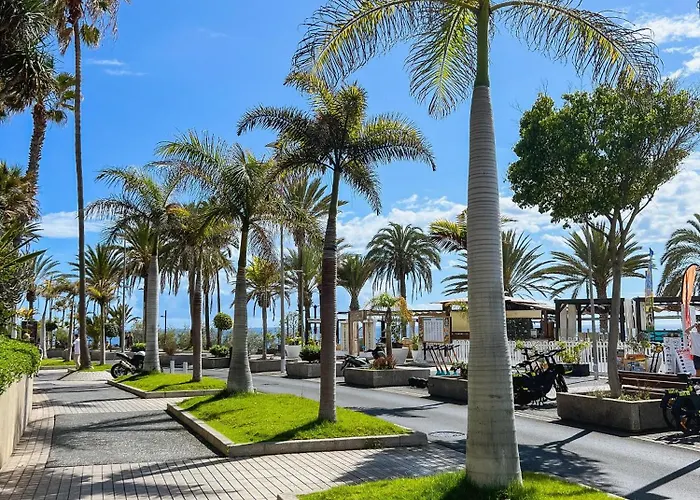 Olympia Palmalicious 플라야데라스아메리카스