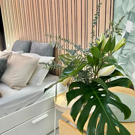 Olympia Palmalicious